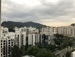 The Hillier (D23), Apartment #467380841